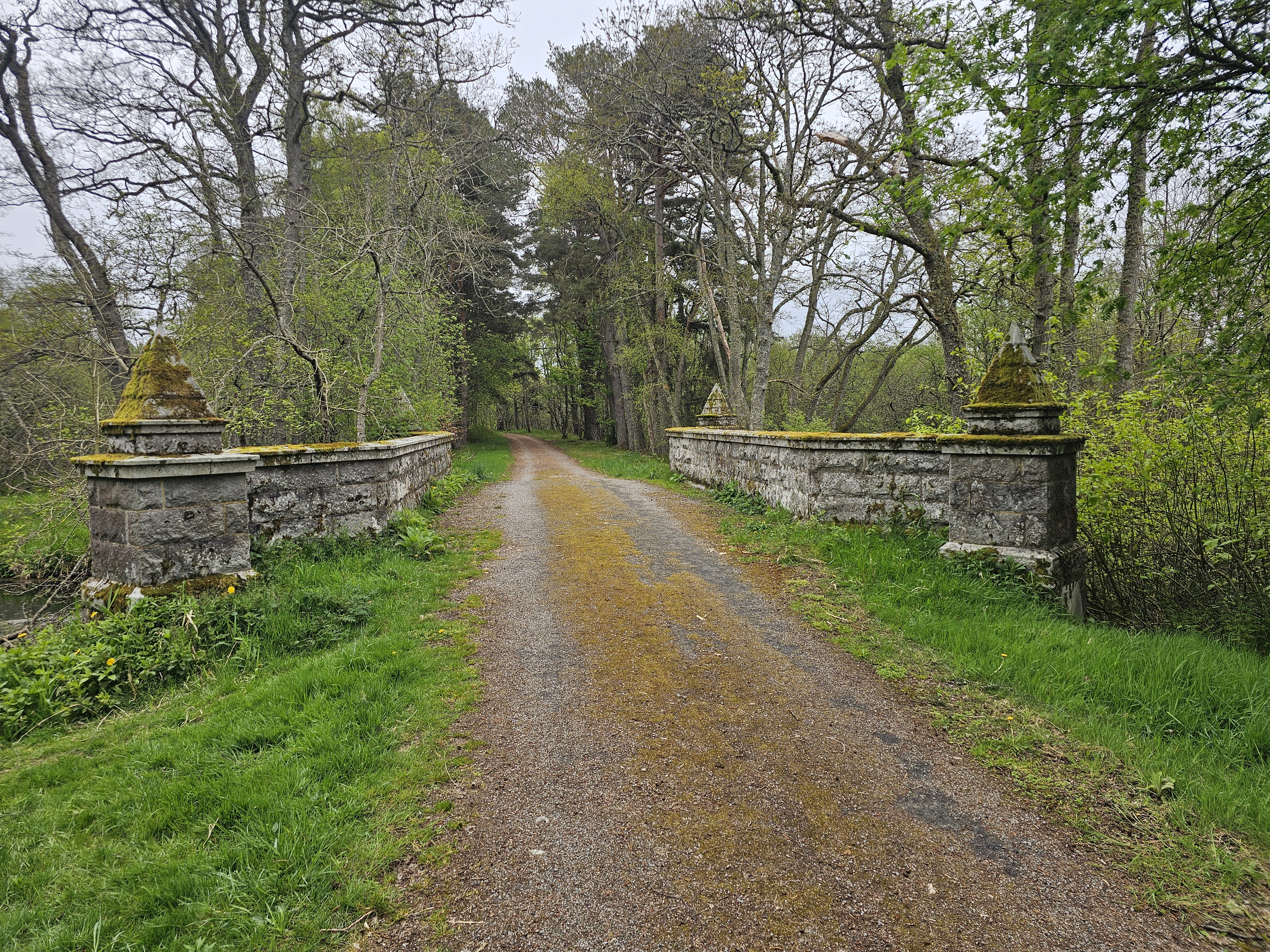 UK nature